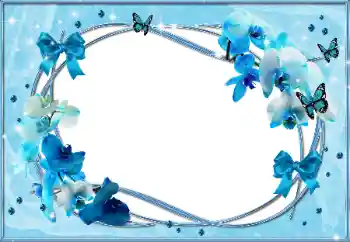 범주에서의 사진 효과 여성 프레임 № 64291