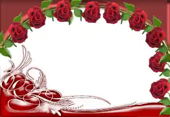 범주에서의 사진 효과 여성 프레임 № 64325