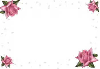 범주에서의 사진 효과 여성 프레임 № 64369