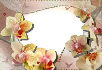 범주에서의 사진 효과 여성 프레임 № 64386