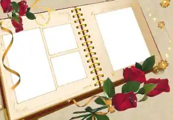 범주에서의 사진 효과 여성 프레임 № 64419