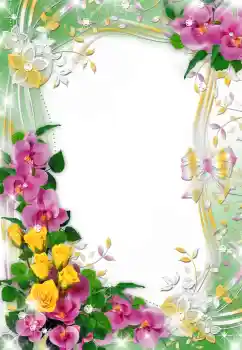 범주에서의 사진 효과 여성 프레임 № 64481