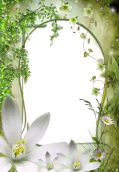 범주에서의 사진 효과 여성 프레임 № 64492