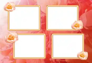 범주에서의 사진 효과 여성 프레임 № 6563