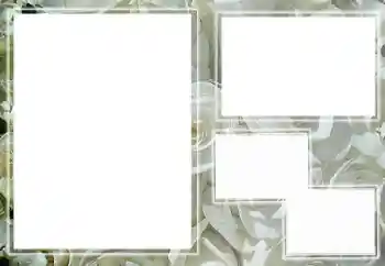 범주에서의 사진 효과 여성 프레임 № 65658