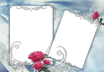 범주에서의 사진 효과 여성 프레임 № 67224