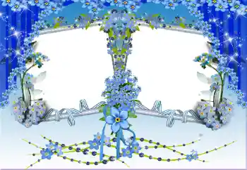 범주에서의 사진 효과 여성 프레임 № 67231