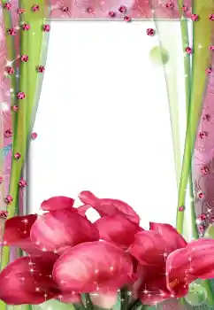 범주에서의 사진 효과 여성 프레임 № 67316