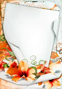 범주에서의 사진 효과 여성 프레임 № 68450