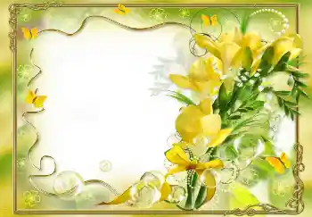 범주에서의 사진 효과 여성 프레임 № 68458