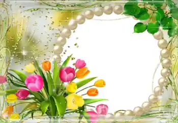 범주에서의 사진 효과 여성 프레임 № 68463