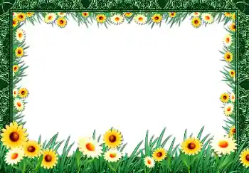 범주에서의 사진 효과 여성 프레임 № 68477