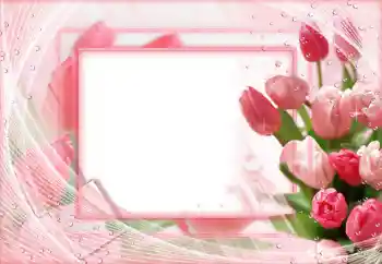 범주에서의 사진 효과 여성 프레임 № 68546