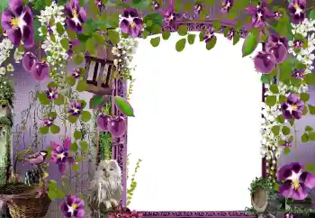 범주에서의 사진 효과 여성 프레임 № 68582