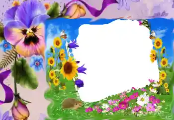 범주에서의 사진 효과 여성 프레임 № 68630