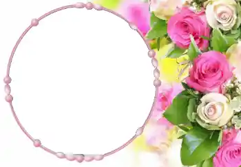 범주에서의 사진 효과 여성 프레임 № 68647