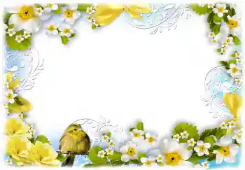 범주에서의 사진 효과 여성 프레임 № 68720