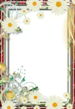 범주에서의 사진 효과 여성 프레임 № 68805