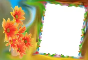 범주에서의 사진 효과 여성 프레임 № 69842