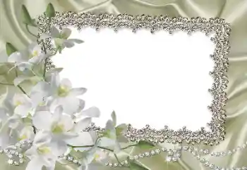 범주에서의 사진 효과 여성 프레임 № 69861