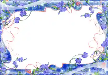 범주에서의 사진 효과 여성 프레임 № 70914