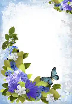 범주에서의 사진 효과 여성 프레임 № 70926