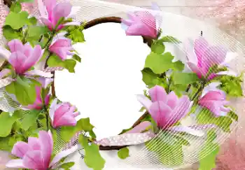 범주에서의 사진 효과 여성 프레임 № 70949