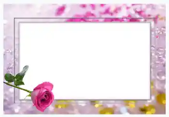 범주에서의 사진 효과 여성 프레임 № 70967