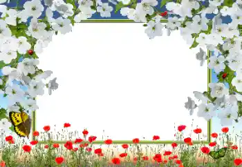 범주에서의 사진 효과 여성 프레임 № 72133