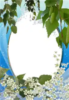 범주에서의 사진 효과 여성 프레임 № 72311