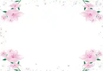 범주에서의 사진 효과 여성 프레임 № 72430