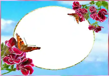 범주에서의 사진 효과 여성 프레임 № 73784