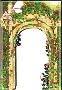 범주에서의 사진 효과 여성 프레임 № 7510