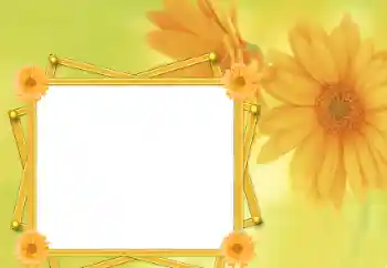 범주에서의 사진 효과 여성 프레임 № 76821