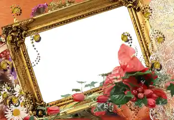 범주에서의 사진 효과 여성 프레임 № 77849