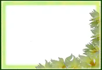 범주에서의 사진 효과 여성 프레임 № 79029