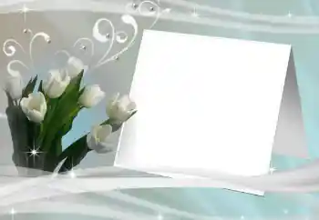 범주에서의 사진 효과 여성 프레임 № 80245