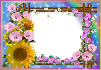 범주에서의 사진 효과 여성 프레임 № 80252