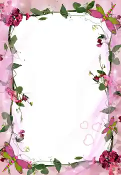 범주에서의 사진 효과 여성 프레임 № 80268