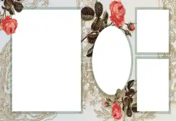 범주에서의 사진 효과 여성 프레임 № 80282