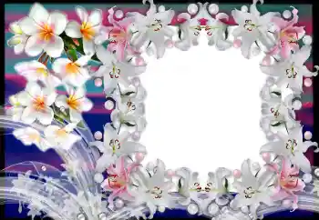 범주에서의 사진 효과 여성 프레임 № 80383 범주에서의 사진 효과 여성 프레임 № 80383