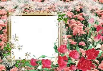 범주에서의 사진 효과 여성 프레임 № 80390