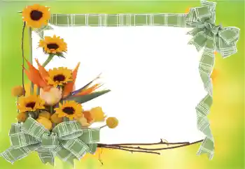 범주에서의 사진 효과 여성 프레임 № 81823