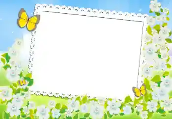 범주에서의 사진 효과 여성 프레임 № 84026