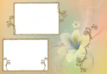 범주에서의 사진 효과 여성 프레임 № 84156