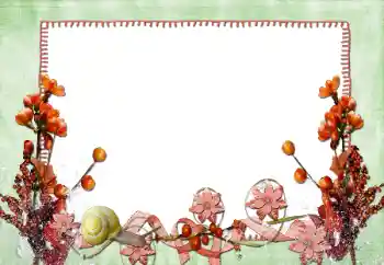 범주에서의 사진 효과 여성 프레임 № 84165