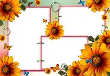 범주에서의 사진 효과 여성 프레임 № 84175