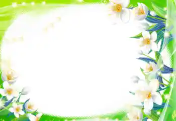 범주에서의 사진 효과 여성 프레임 № 8470