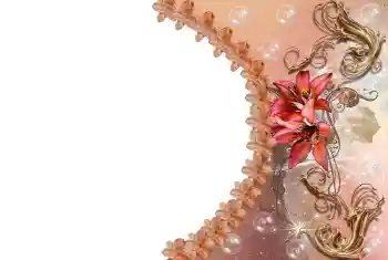 범주에서의 사진 효과 여성 프레임 № 85309