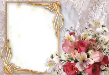 범주에서의 사진 효과 여성 프레임 № 8533